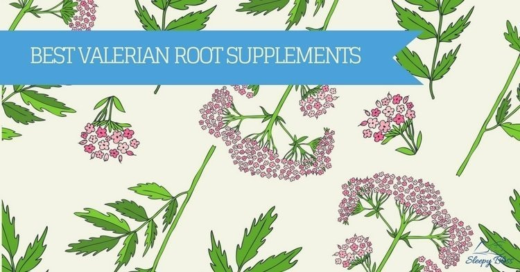 best-valerian-root-supplement Best Valerian Root Supplement Reviews